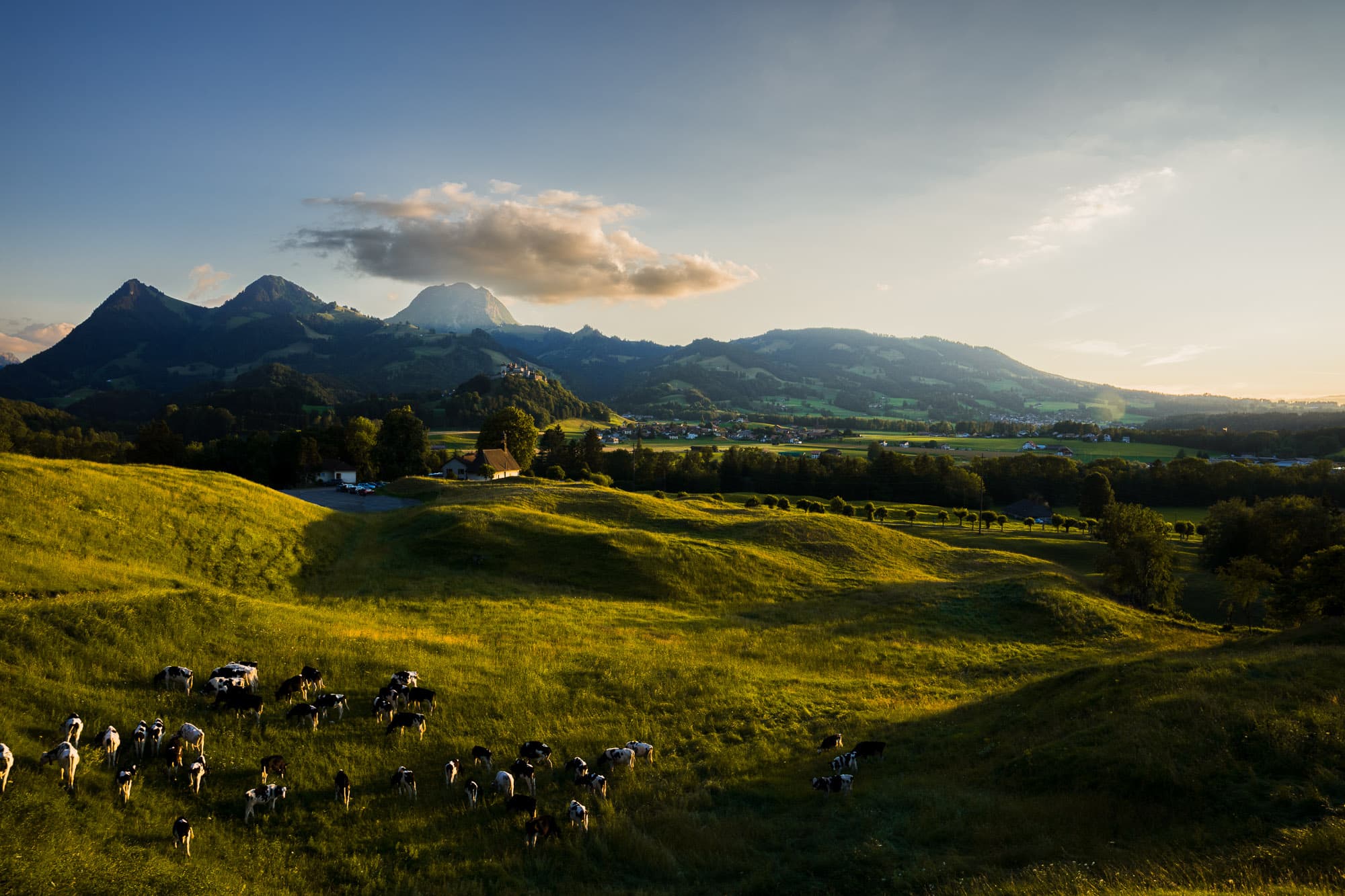 Les prairies et préalpes de la Gruyère, autour de Broc